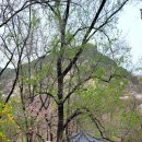 24/04/10 북한산,안산,인왕산 수성동계곡으로 이미지