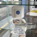 플루토썸머 이미지