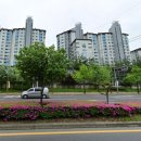 대동다숲아파트 앞 이미지