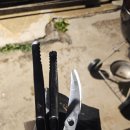 하도탐나 이미지