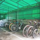 개나리공인중개사 이미지