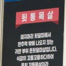 박가뒷통구이