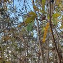 명신주유소 이미지