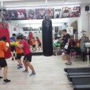 용인JG복싱PT 이미지