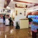 센텀애견샵 이미지