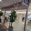 화정퍼스트내과의원 네이버블로그