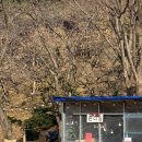 [인천/강화] 서울 인천 근교 캠핑장 추천_고려산 힐링캠프