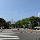 이대호태권도 | 부산 사직구장 112블럭 17열 시야 / 삼성 vs 롯데 직관 (240525)