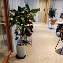계룡산휴게소인근 | 수통골 봉이호떡 먹고 수통골 산책하기