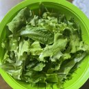 장미농장 | 하나농장장미 유러피안 샐러드 채소 1kg 구매 후기 건강한 다이어트에 필수 샐러드 추천