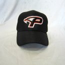 프로지스 이미지