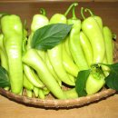 도현농장 이미지