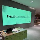 [플렉스(flex)팀] flexible : 행사 참석 후기