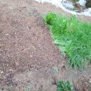 마차고등학교 이미지