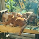 금왕온누리약국 이미지