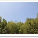 하늘나리농촌체험마을 이미지