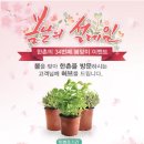 허브설레임
