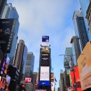 에보브리지 | 뉴욕 할랄가이즈 솔직 후기: 힐튼 호텔 앞 본점(W 53rd St & 6th Ave) 콤보 플래터 주문 및 실전 꿀팁