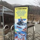 미사719펜션 | 가평무제한바베큐 서울근교펜션 미사719, 가평펜션 추천 후기