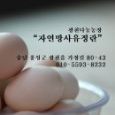 광천다농농장 이미지