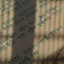 코케 이미지