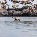 경충대로 2709번길 3 이미지