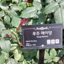 곡성-184 이미지