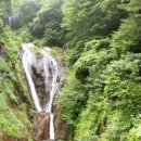 울릉도탑투어