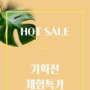 샴푸스토리 이미지