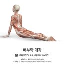 [인천]10년이상 경력자가 직접 교육◎CMP필라테스 지도자과정 7월반 모집 (평일/주말) 이미지