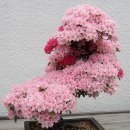 만덕2동-8 이미지