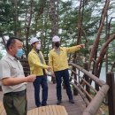 김영일 사무소 이미지