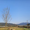 장수-18 | [장수 파크골프 찐후기] 솥뚜껑 난이도 '장계' 말고...아직 지도에도 없는 18홀 비밀 구장, '논개골...