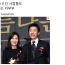 돈스탑