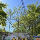 숲속식당민박 이미지