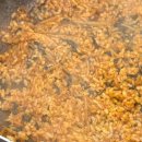 이수떡볶이