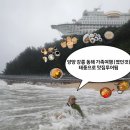NR-6[경강로]-하-159 | 태풍때문에 계획과는 달라졌지만 가을 가족여행 2박3일 양양 강릉 정동진 동해시