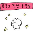 푸른달 네이버블로그