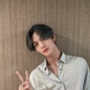 진영냥이 이미지