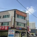 지니아뜰리에 (day1) - 반려동물초상화 수원취미미술 수원화실