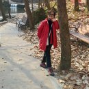 순창군 종합관광안내소 | 순창 강천산 단풍명소 순창에서 가 볼만한 곳