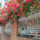 이마트24 망원제일점 이미지