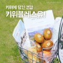 블레스유필라테스
