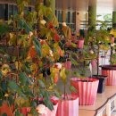 중대초등학교 이미지