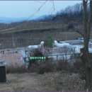 구미마을회관 이미지