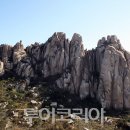 (주)자연투어 이미지