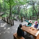 힐링랜드 이미지