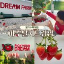 드림팜 | 파주딸기드림팜 실내체험 예약 가격 총정리 겨울 아기랑 갈만한 곳