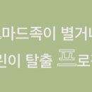 (주)엔제이커피