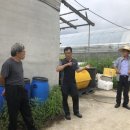 김용섭농장 이미지